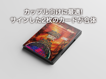 DVD – スクリプト・マヌーヴァ